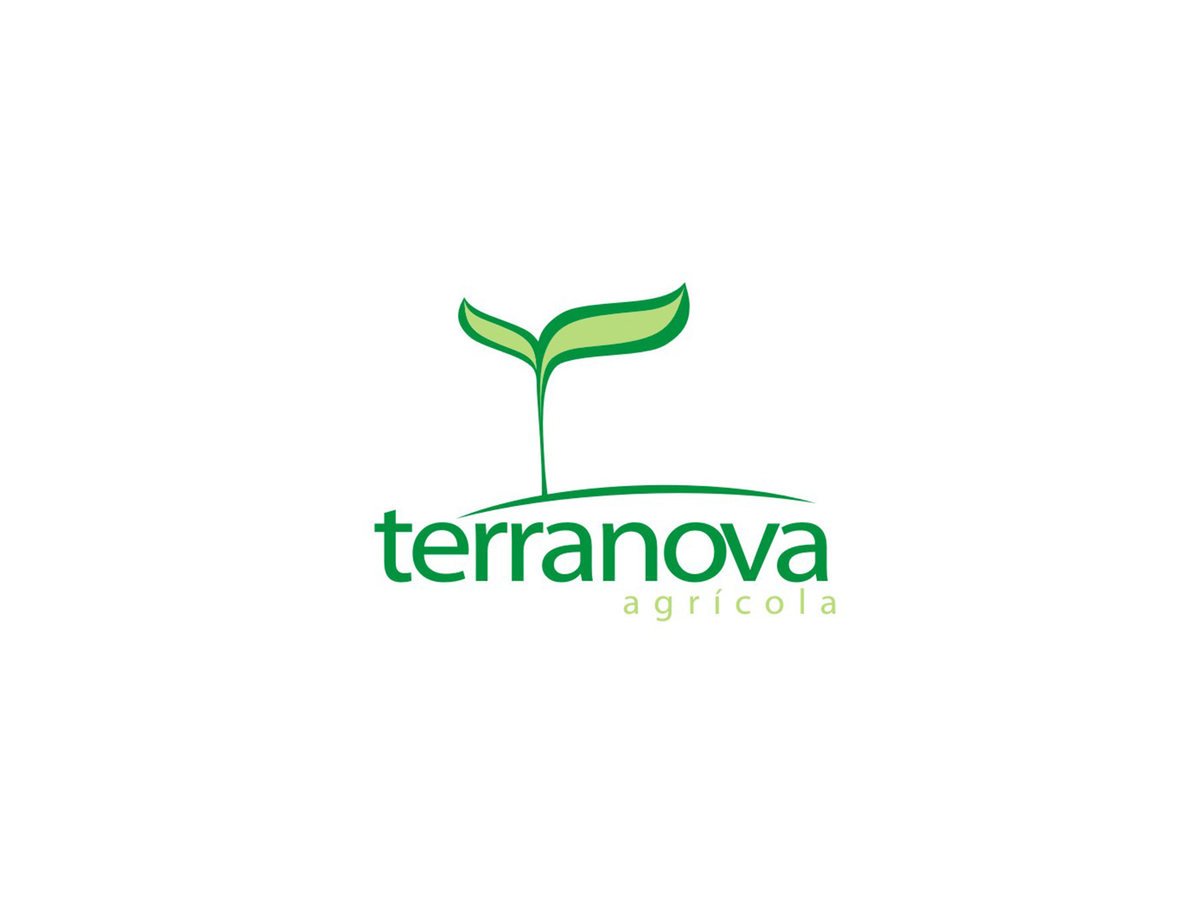 Terranova